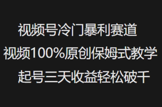 视频号冷门暴利赛道视频100%原创保姆式教学起号三天收益轻松破千-氢气球网创资源库