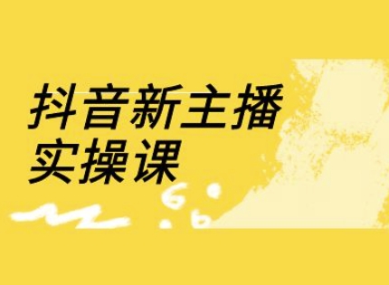 抖音新主播实操课，直播间流量运营线上实操课(18节)-氢气球网创资源库