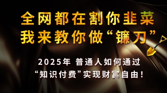 全网都在割你韭菜，我来教你做镰刀，2025普通人如何通过知识付费，实现财F自由【揭秘】-氢气球网创资源库