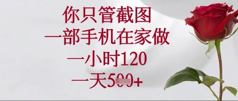 你只管截图，一部手机在家操作，一小时120.一天5张【揭秘】-氢气球网创资源库