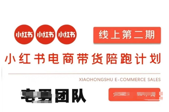 小红书电商带货课2期，月利润20个的小红书电商的有货源，无货源，虚拟产品，付费投流等整套玩法-氢气球网创资源库