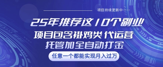 25年推荐这10个副业项目包含褂鸡类、代运营托管类、全自动打金类【揭秘】-氢气球网创资源库