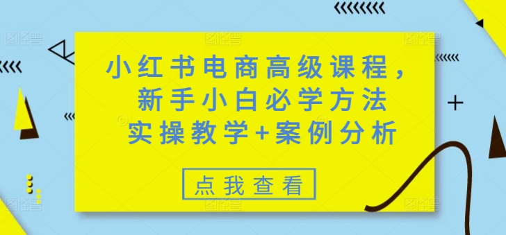 小红书电商高级课程，新手小白必学方法，实操教学+案例分析-氢气球网创资源库