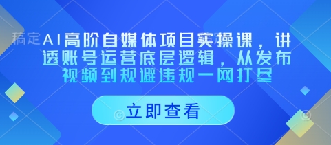 AI高阶自媒体项目实操课，讲透账号运营底层逻辑，从发布视频到规避违规一网打尽-氢气球网创资源库