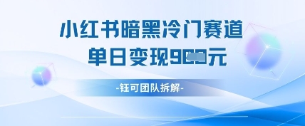 小红书冷门”暗黑”赛道，单日收益多张-氢气球网创资源库