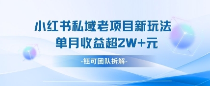 小红书私域项目新玩法，单月变现过W+-氢气球网创资源库