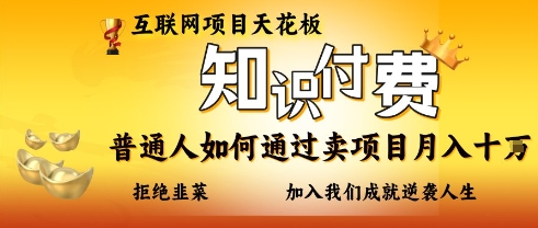互联网项目天花板，知付付费项目，普通人如何通过卖项目月入十个，拒绝韭菜【揭秘】-氢气球网创资源库