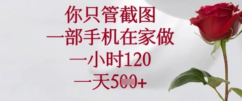 你只管截图，一部手机在家做，苹果安卓都可以，一小时120，一天5张+【揭秘】-氢气球网创资源库