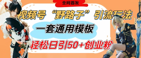 视频号“野路子”玩法，评论区疯狂截流，一套模板单日单号引流50+创业粉-氢气球网创资源库