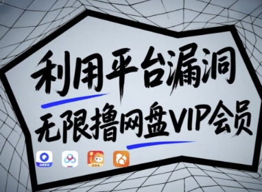 利用平台漏洞，无限撸网盘VIP会员，用户亲测有效!【漏洞原理+操作演示】-氢气球网创资源库