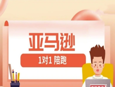 亚马逊1对1陪跑课(FBA/FBM精铺)跨境亚马逊教程-氢气球网创资源库