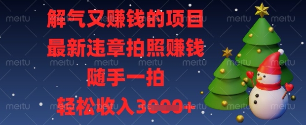 解气又挣钱的项目，最新违章拍照挣钱，随手一拍，轻松收入数张【揭秘】-氢气球网创资源库