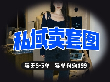 私域卖套图每天3-5单，每单利润99-氢气球网创资源库