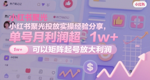小红书聚光投放实操经验分享，单号月利润超1w+，可以矩阵起号放大利润-氢气球网创资源库