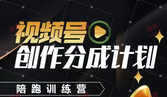 视频号创作分成计划陪跑训练营，手把手教会你如何制作视频，细水长流型项目-氢气球网创资源库