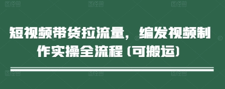 短视频带货拉流量，编发视频制作实操全流程(可搬运)-氢气球网创资源库