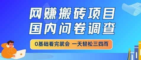 网创搬砖项目，国内问卷调查，小白轻松上手，一天三四张的也不难，干就完了【揭秘】-氢气球网创资源库