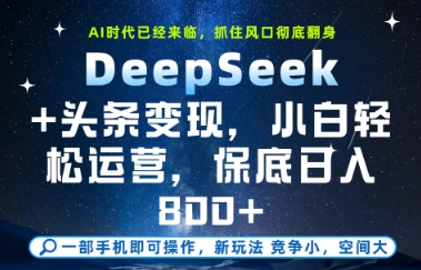 DeepSeek+头条变现，保姆级教学，小白轻松上手，日入8张+【揭秘】-氢气球网创资源库