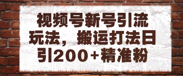 视频号新号引流玩法，搬运打法日引200+精准粉，可矩阵放大【揭秘】-氢气球网创资源库