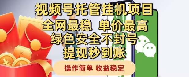 视频号托管挂G项目全网最稳，单价最高，绿色安全不封号提现秒到账，操作简单，收益稳定【揭秘】-氢气球网创资源库