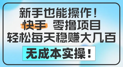 新手也能操作，快手零撸挣米，轻松每天挣2-5张，完全无成本-氢气球网创资源库