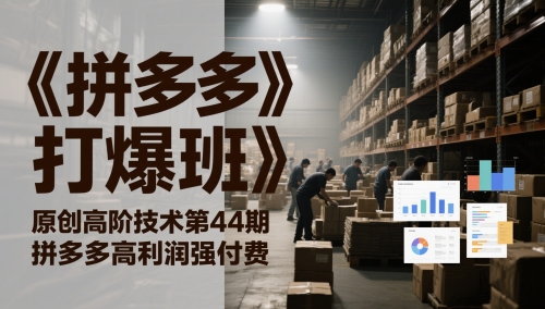 《拼多多打爆班》原创高阶技术第44期，拼多多高利润强付费-氢气球网创资源库