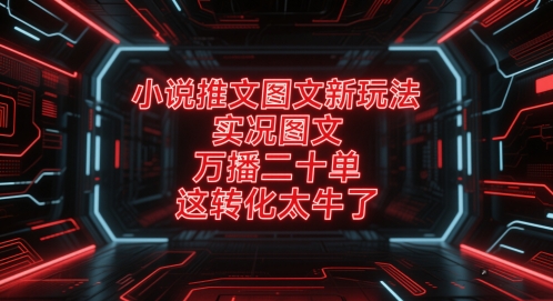 小说推文图文新玩法，实况图文，万播二十单，这转化太牛了！-氢气球网创资源库