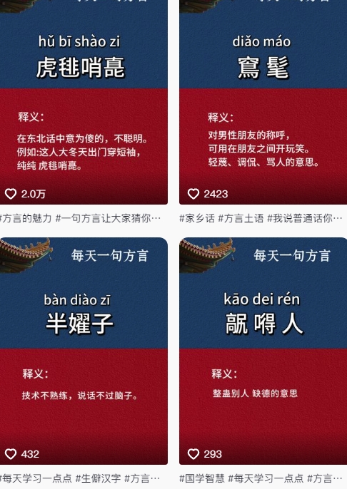 抖音最新涨粉玩法，图文方言暴力涨粉实操，126作品涨粉11W-氢气球网创资源库