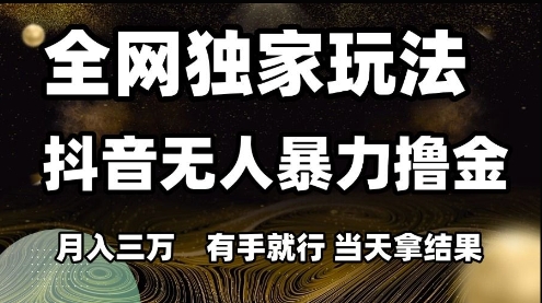 全网独家玩法抖音无人暴力撸金，月入3W，有手就行，当天拿结果【揭秘】-氢气球网创资源库