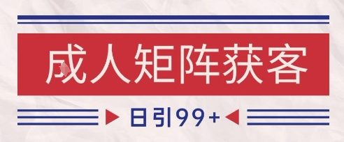 小红书某音橙人赛道引流获客，自热矩阵日引200+【揭秘】-氢气球网创资源库
