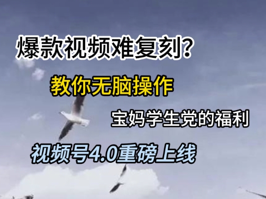 视频号4.0重磅上线，爆款视频难复刻？教你无脑操作宝妈学生党的福利【揭秘】-氢气球网创资源库