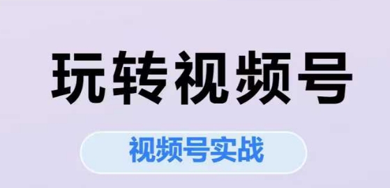 玩转视频号，视频号实战系列课-氢气球网创资源库