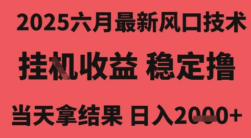 2025六月最新风口技术，无人挂G撸礼物，长期稳定 一个小时收益2k+，小白当天拿结果【揭秘】-氢气球网创资源库