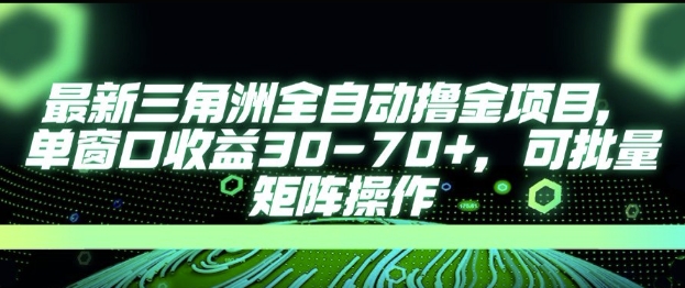 最新AI全自动游戏撸金项目，单窗口收益30-70+，可批量操作【揭秘】-氢气球网创资源库