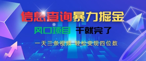 信息查询暴力掘金，一天三条视频，轻松变现四位数，风口项目干就完了【揭秘】-氢气球网创资源库