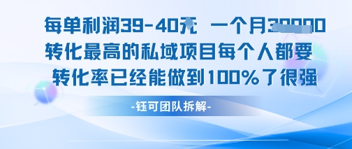 每单利润40一个月7k+转化最高的私域项目，每个人都要的产品转化率已经能做到100%-氢气球网创资源库