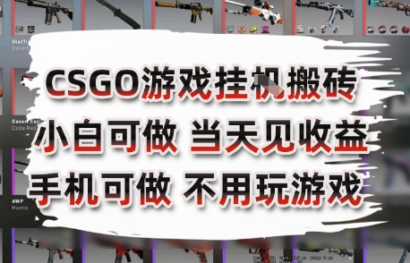 CSGO游戏挂G搬砖，小白纯手机即可操作，不用电脑打游戏，日入3张+，副业网创项目【揭秘】-氢气球网创资源库