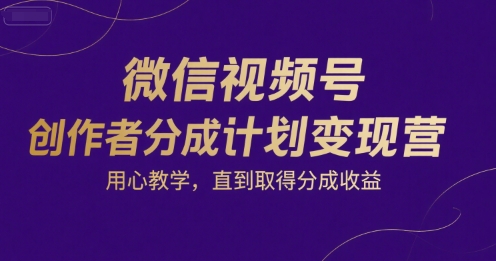 微信视频号创作者分成计划变现营，用心教学，直到取得分成收益-氢气球网创资源库