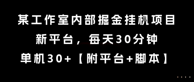 某工作室内部掘金挂G项目，新平台，每天30分钟，单机30+【揭秘】-氢气球网创资源库