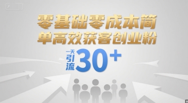 零基础零成本简单高效获客创业粉，一天引流30+-氢气球网创资源库